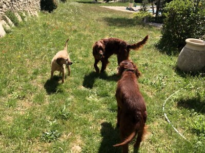 Holiday house Clos De La Bienvenue - Outdoor photo 8