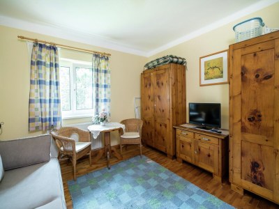 Apartment Apartment Kitzbuhel near Ski Slopes - Features photo 20