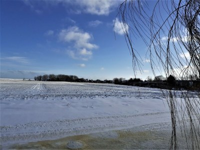 Holiday house Cottage in Edam near IJsselmeer Lake - Environment photo 33