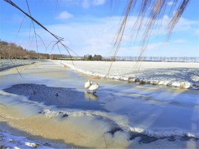 Holiday house Cottage in Edam near IJsselmeer Lake - Environment photo 35