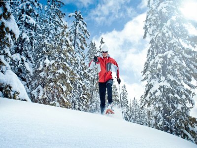 Chalet Chalet in Sankt Johann nahe Skipisten - Environment photo 22