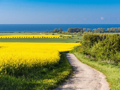 Holiday house Haus am See - Environment photo 15