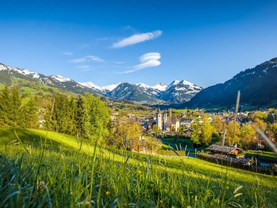 Apartment Wohnung in Kirchberg beim Skibus - Environment photo 31