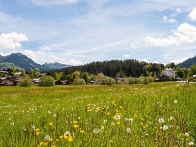 Apartment Wohnung in Kirchberg beim Skibus - Environment photo 35