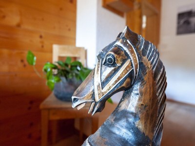 Apartment Wohnung in Kirchberg beim Skibus - Outdoor photo 40