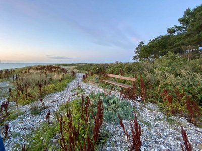 Holiday house 8 Personen Ferienhaus in Knebel-By Traum - Outdoor photo 25