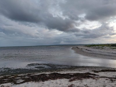 Holiday house 8 Personen Ferienhaus in Knebel-By Traum - Outdoor photo 32