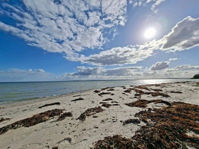Holiday house 8 Personen Ferienhaus in Knebel-By Traum - Outdoor photo 33