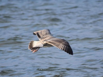 Holiday house 8 Personen Ferienhaus in Knebel-By Traum - Outdoor photo 34