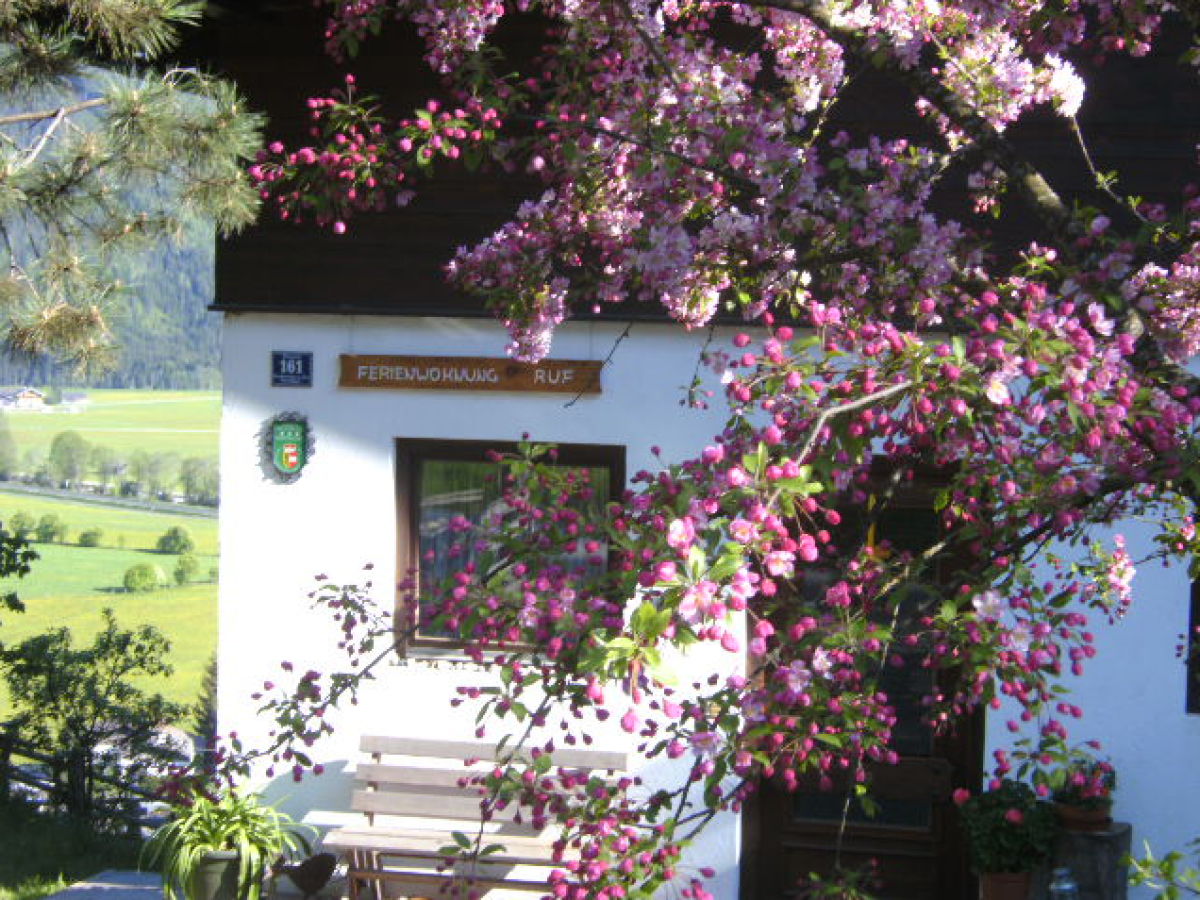 Holiday apartment Ruf - Outdoor photo 5