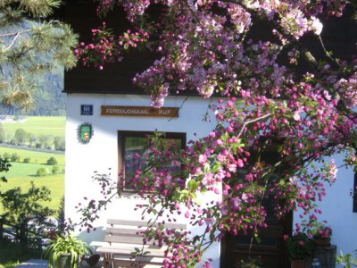 Holiday apartment Ruf - Outdoor photo 5