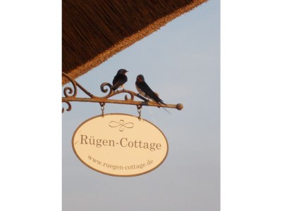 Holiday house Rügen Cottage - Outdoor photo 8