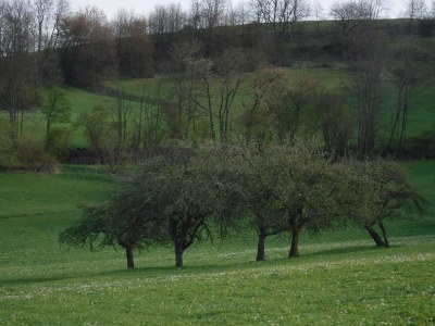 Holiday apartment Mondfänger - Environment photo 31