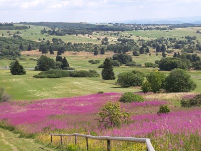 Holiday apartment Mondfänger - Environment photo 36