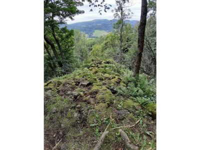 Holiday apartment Mondfänger - Environment photo 37