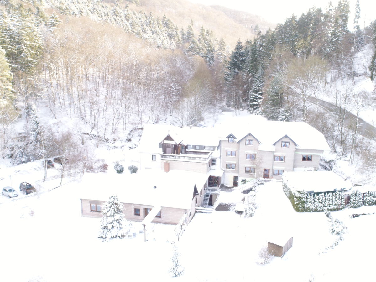 Holiday apartment Alte Burg - Outdoor photo 5