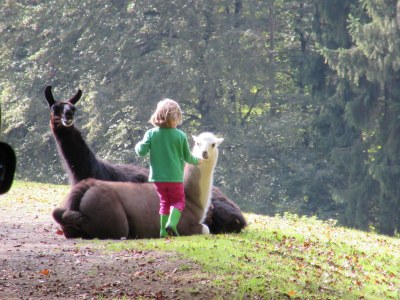 Holiday apartment Alte Burg - Environment photo 20