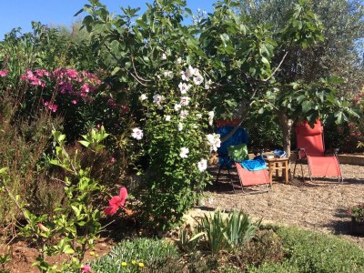 Holiday house Casa Barbara beach property - Outdoor photo 7