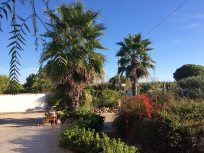 Holiday house Casa Barbara beach property - Outdoor photo 11