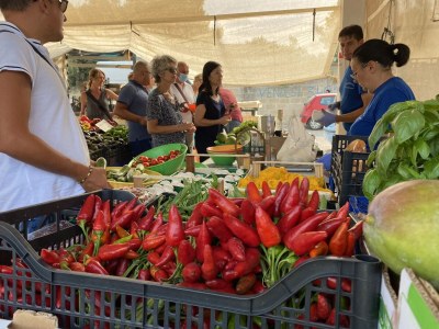 Holiday house Casa Barbara beach property - Environment photo 30