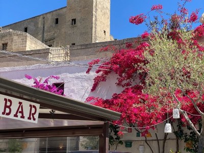 Holiday house Casa Barbara beach property - Environment photo 37