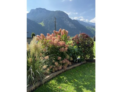 Holiday apartment Luxury apartment in AlpinschlÃ¶ssl **** Aparts - Outdoor photo 19