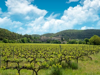 Holiday house Holiday Home in Montclus near river - Environment photo 30