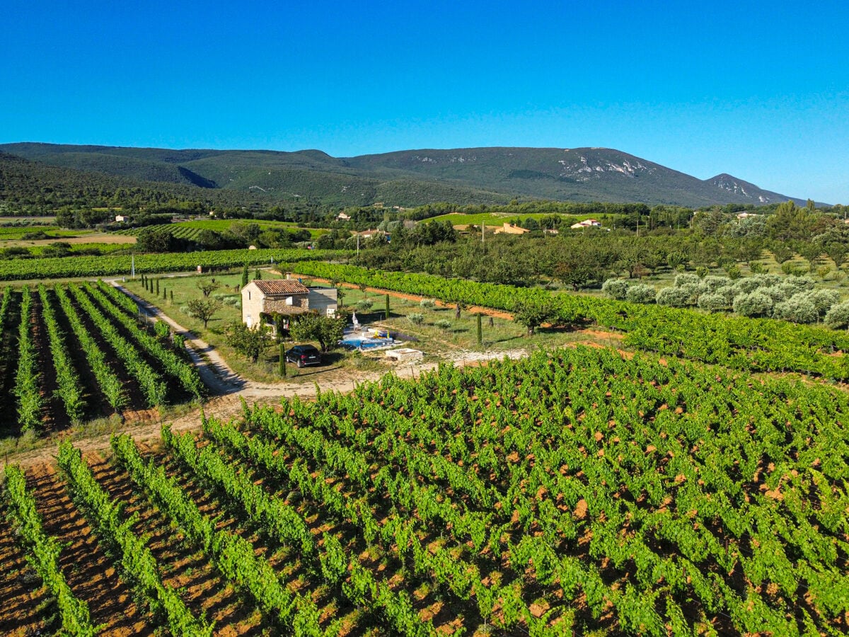 Holiday house Quiet, comfortable vacation home in the middle of greenery - 201 VIL - Outdoor photo 5