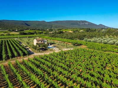 Holiday house Quiet, comfortable vacation home in the middle of greenery - 201 VIL - Outdoor photo 5