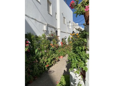 Holiday house Casa Jimena - Environment photo 20