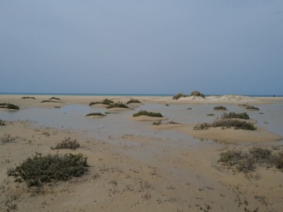 Holiday house Casa Jimena - Environment photo 26