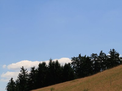 Holiday house Eifelcottage Family 9 - Environment photo 15