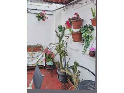 Holiday apartment Canarias excursions - Features photo 10