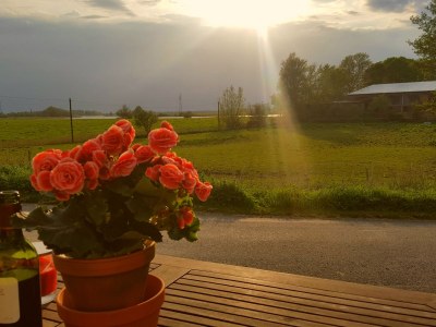 Holiday house Schäfer - Outdoor photo 4