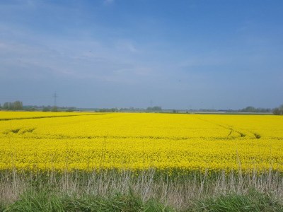 Holiday house Schäfer - Environment photo 14