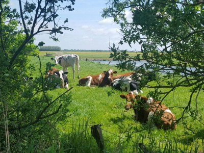 Holiday house Schäfer - Environment photo 15