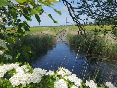 Holiday house Schäfer - Environment photo 16