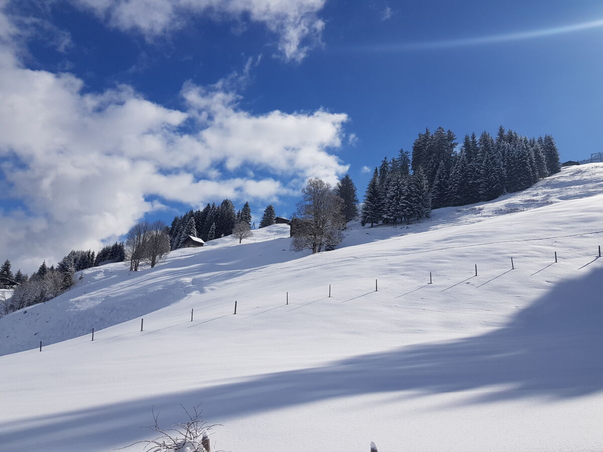 Holiday apartment Haus Biedenkopf - Outdoor photo 5