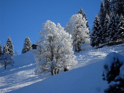 Holiday apartment Haus Biedenkopf - Outdoor photo 6