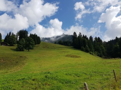 Holiday apartment Haus Biedenkopf - Outdoor photo 8