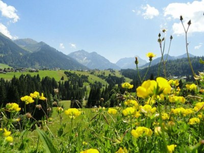 Holiday apartment Haus Biedenkopf - Environment photo 20