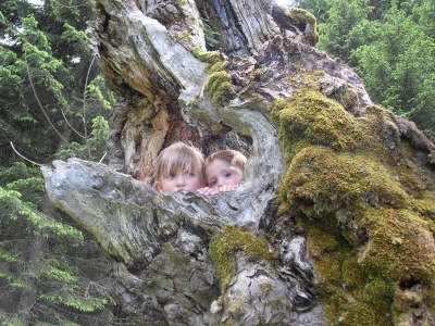 Holiday apartment Haus Biedenkopf - Environment photo 24