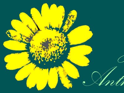 Holiday house Haus Anthemis - Document photo 30