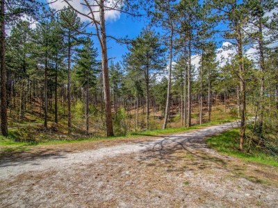 Apartment Apartment in Schoorl near Dunes - Environment photo 20