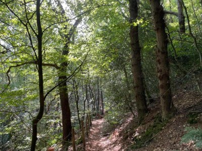 Apartment Apartment in Schoorl near Dunes - Environment photo 21