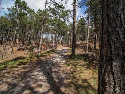 Apartment Apartment in Schoorl near Dunes - Environment photo 22