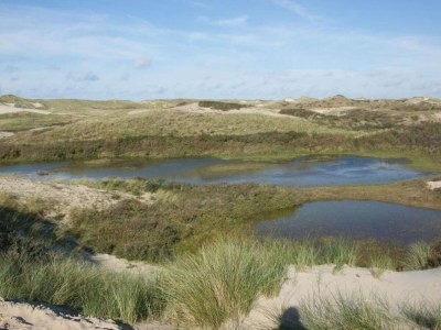 Apartment Apartment in Schoorl near Dunes - Environment photo 24