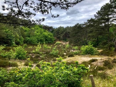 Apartment Apartment in Schoorl near Dunes - Environment photo 25