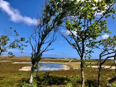 Apartment Apartment in Schoorl near Dunes - Environment photo 26
