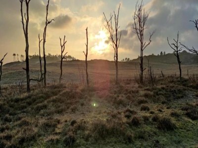 Apartment Apartment in Schoorl near Dunes - Environment photo 27